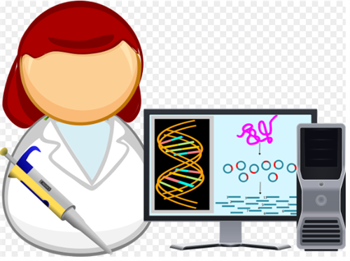 Physical Sciences